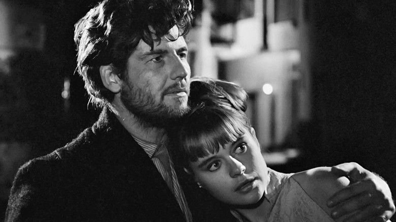 кадр из фильма Девушки под солнцем