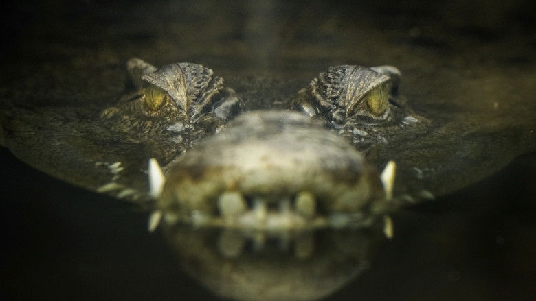 кадр из фильма Lair Of The Killer Crocs