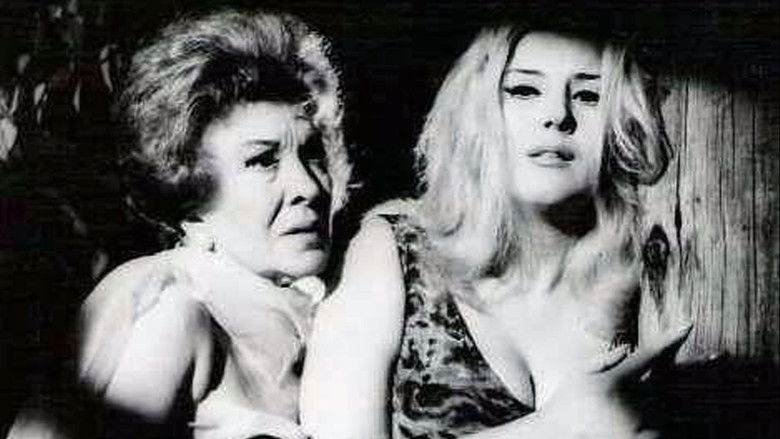 кадр из фильма María M.