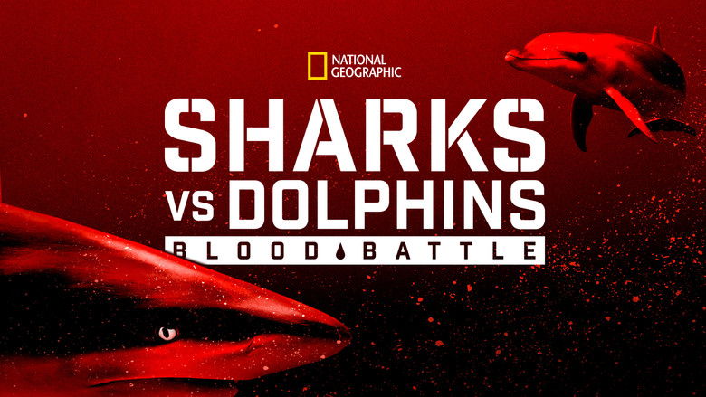 кадр из фильма Sharks vs. Dolphins: Blood Battle