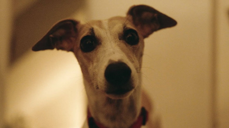 кадр из фильма The Heirloom