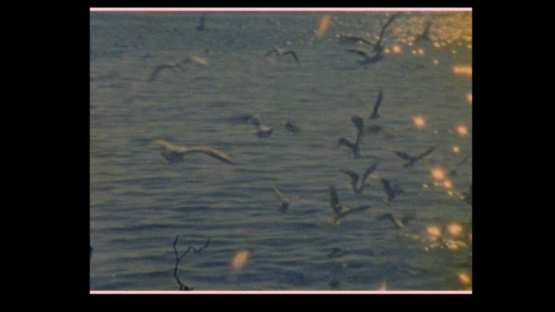 Les oiseaux vont mourir au Pérou