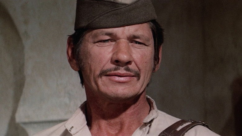 кадр из фильма Ты не сможешь победить их всех