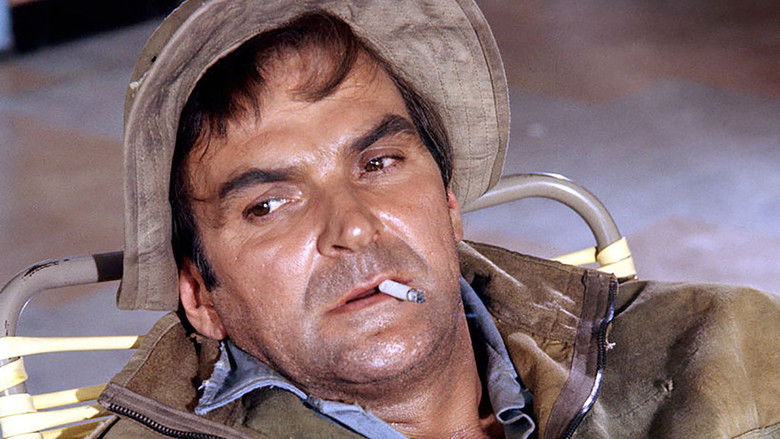 кадр из фильма Пески Калахари