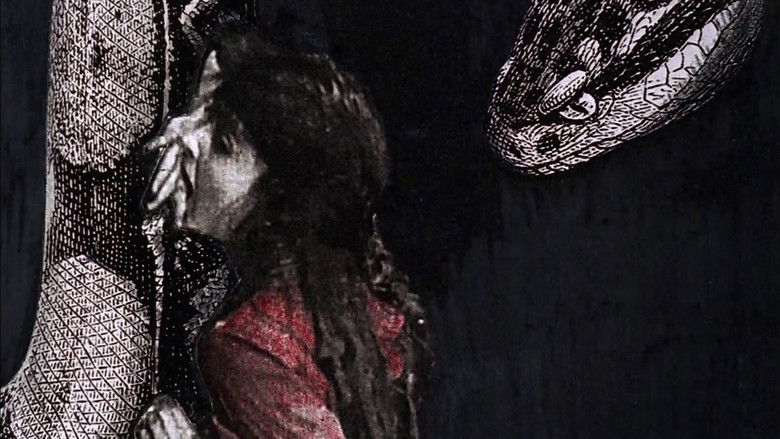 кадр из фильма Night Hunter