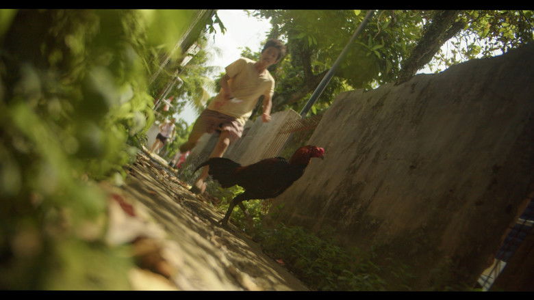 кадр из фильма The Guest