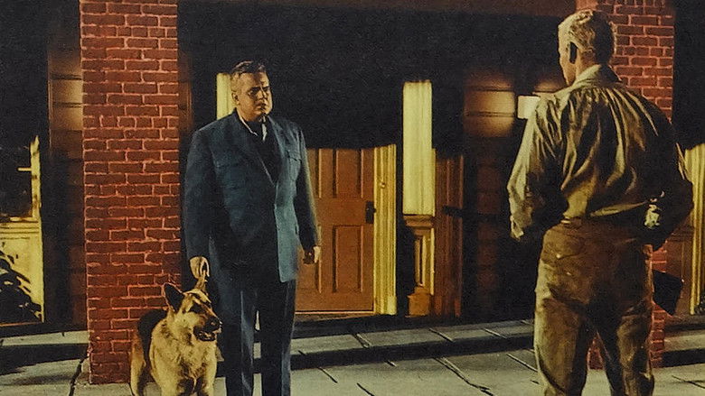 кадр из фильма Man in the Shadow