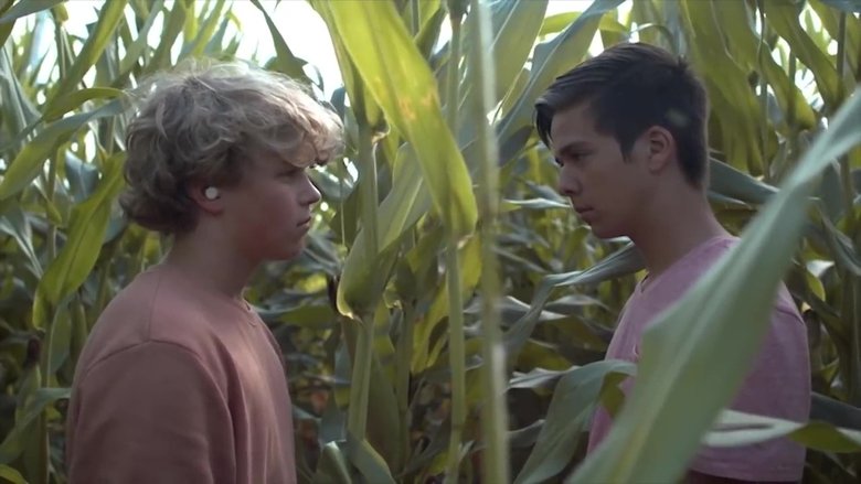 кадр из фильма Desire: The Short Films of Ohm