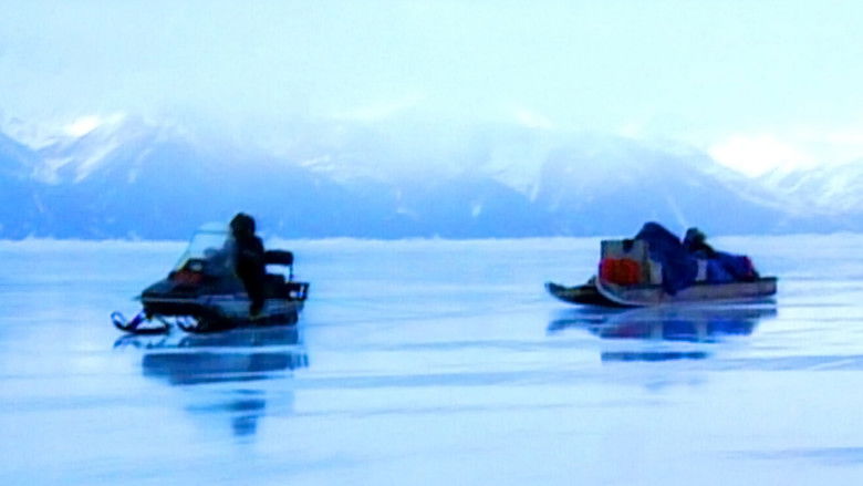 кадр из фильма Northern Justice