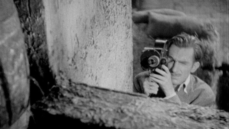 кадр из фильма Vida en sombras