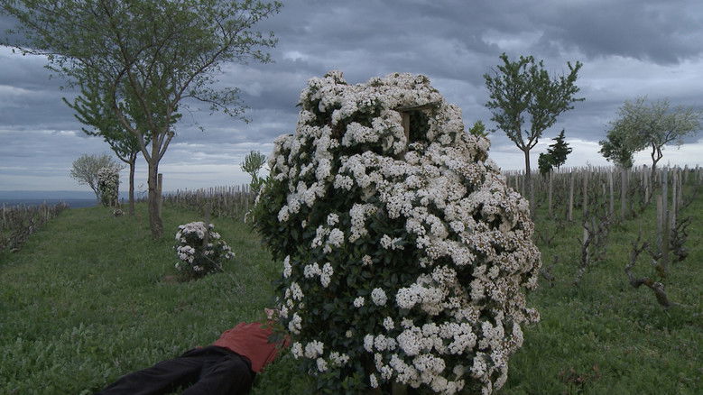 кадр из фильма Terroir