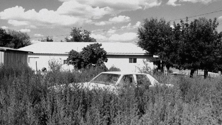 кадр из фильма Limbs of Sun