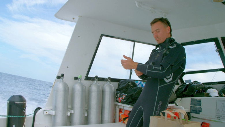 кадр из фильма Sharkwater Extinction