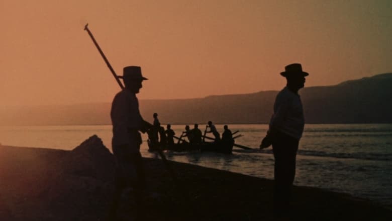 кадр из фильма Lu tempu di li pisci spata