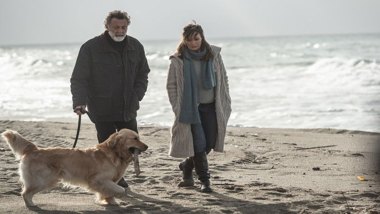 кадр из фильма The Penitent - A Rational Man