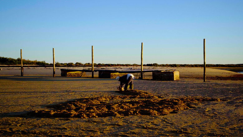 кадр из фильма Lá Pró Pé do Fim