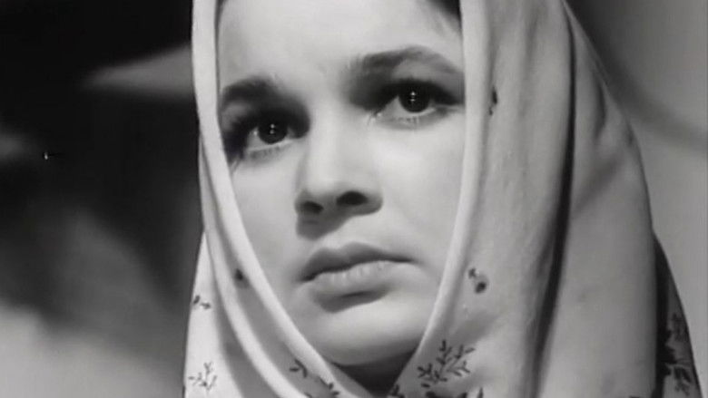 кадр из фильма Цветок на камне