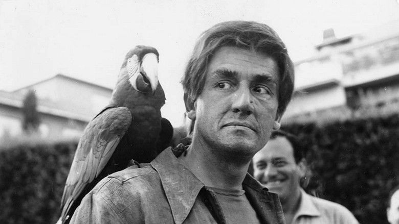 кадр из фильма Чудовища