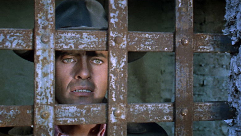 кадр из фильма ¿Quién grita venganza?