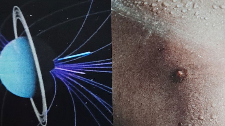 кадр из фильма The Beginning of Identification, and its End