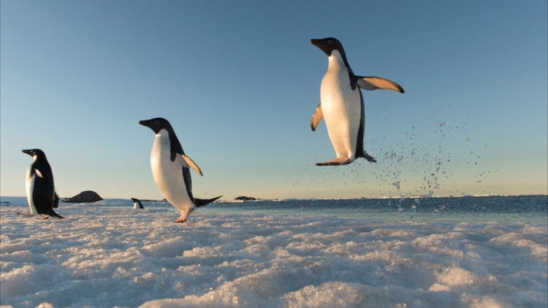 кадр из фильма Antarctica, sur les traces de l'empereur