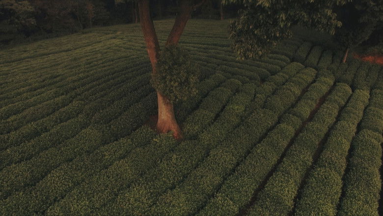 кадр из фильма Les aventures de Robert Fortune ou comment le thé fut vole aux Chinois