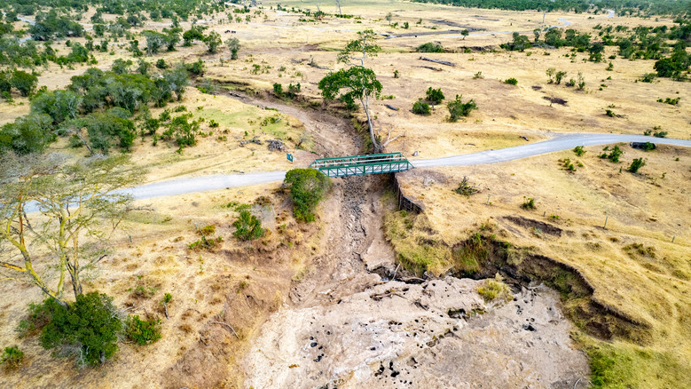 кадр из фильма DUNIA BORA