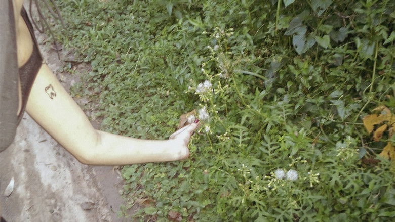 кадр из фильма o céu diante dos meus olhos nunca é cinza