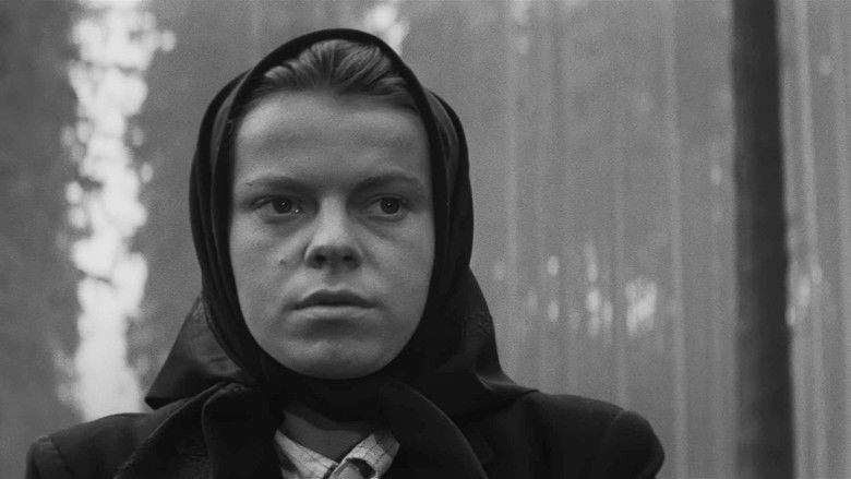 кадр из фильма Повозка в Вену