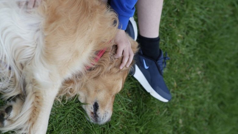 кадр из фильма A Boy and His Dog