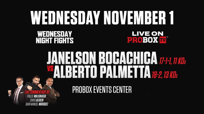 кадр из фильма Janelson Bocachica vs. Alberto Palmetta