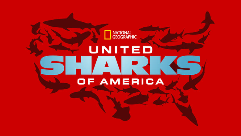 кадр из фильма United Sharks of America