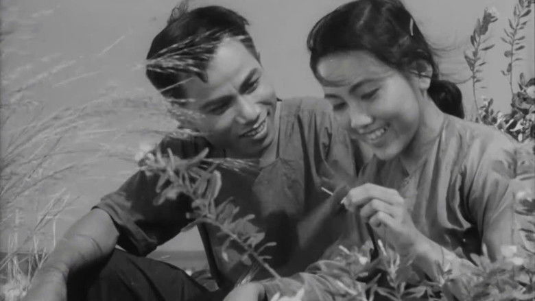 кадр из фильма На берегах одной реки