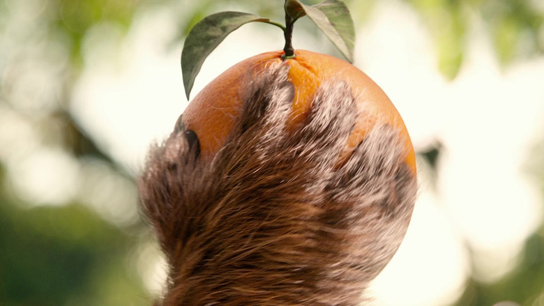 кадр из фильма Приключения Паддингтона