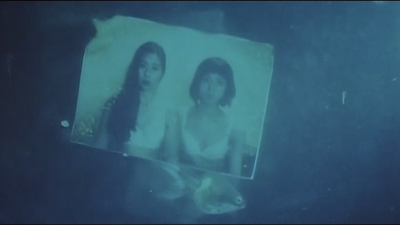 кадр из фильма 本番レズ　恥ずかしい体位