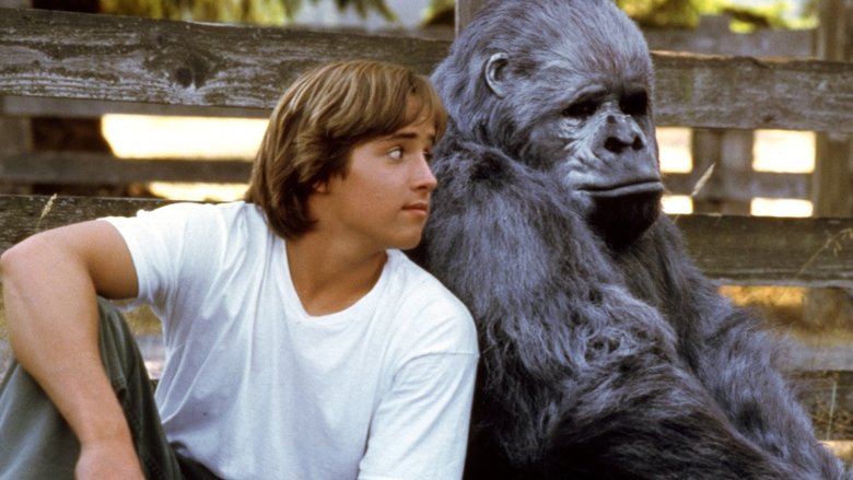 Рожденная свободной