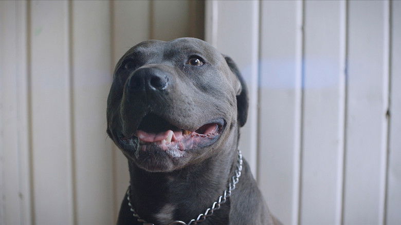 кадр из фильма Pitbull