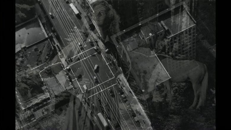 кадр из фильма Filme Algarve