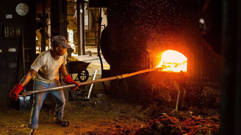 кадр из фильма Appetite for Destruction: The Palm Oil Diaries