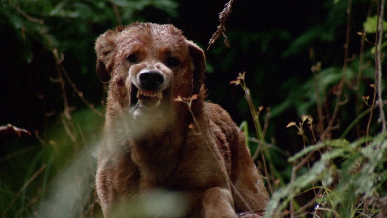 кадр из фильма The Pack