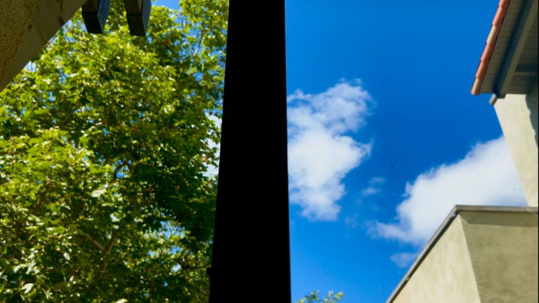 кадр из фильма When Butterflies Scream