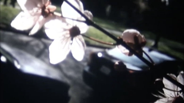 кадр из фильма Pastourelle