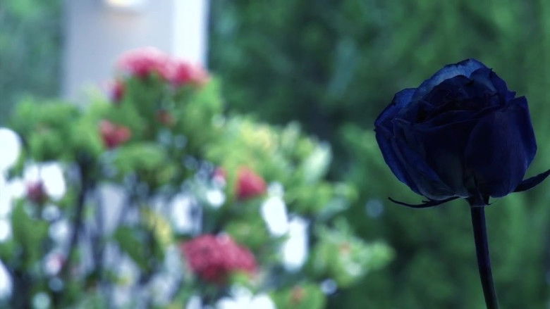 кадр из фильма Flores Secas