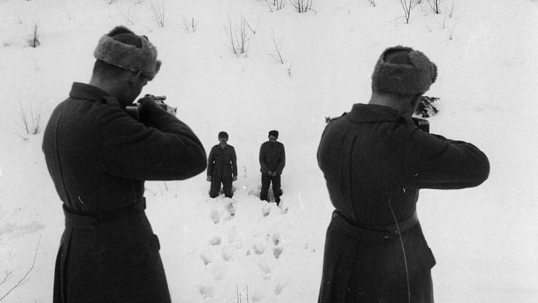 кадр из фильма Неизвестный солдат