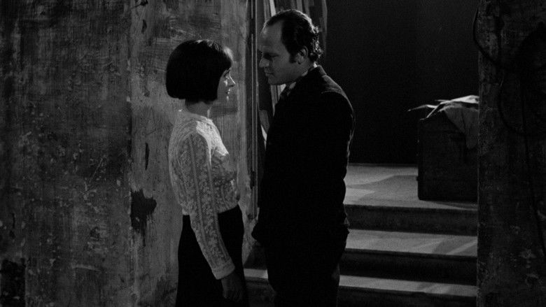 кадр из фильма I visionari