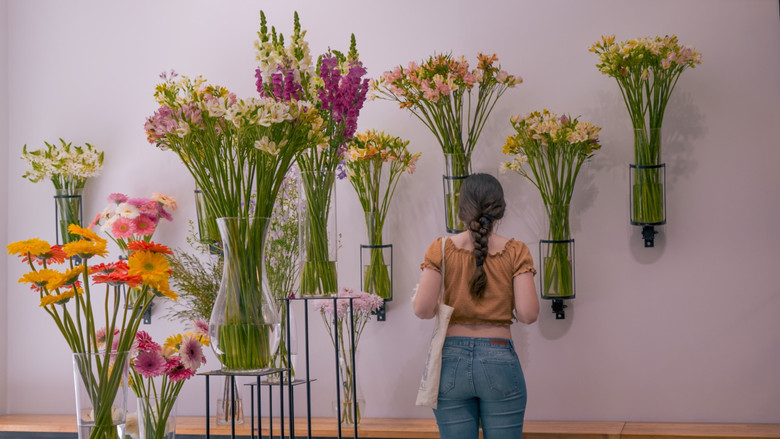 кадр из фильма CRESCENDO