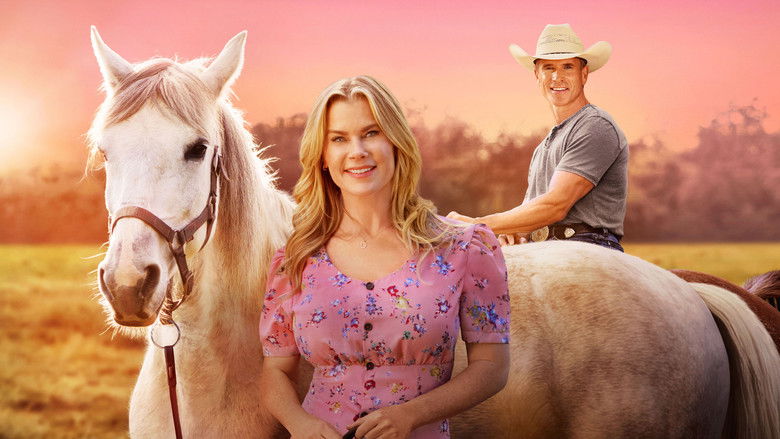 кадр из фильма Romance at Hope Ranch