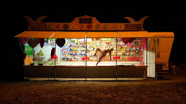 кадр из фильма Random