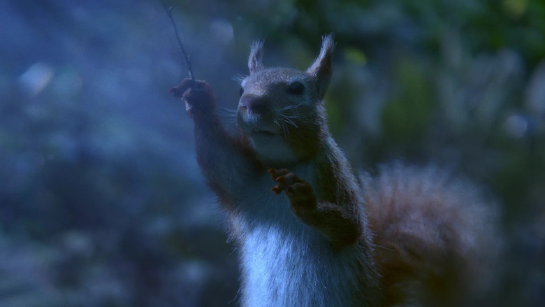 кадр из фильма Маэстро