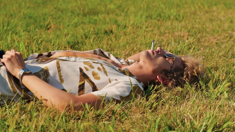 кадр из фильма 'Mr. Paradise'